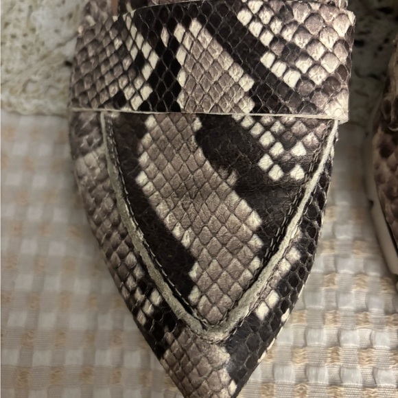 Agl Pointed Toe Snake Print Loafers in Beige and Black - Picture 3 of 12